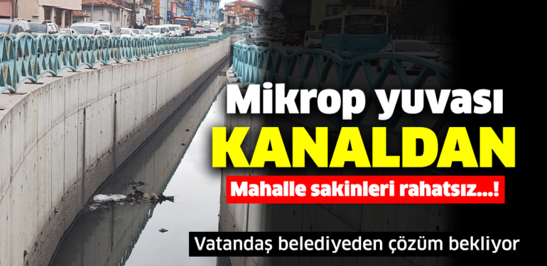 Kütahya’da kış mevsiminde sivrisinek istilası