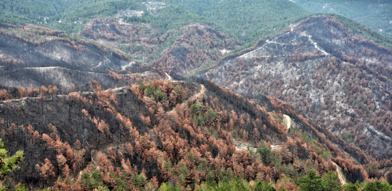 Emet Küreci’de yangın sonrası çalışmalar sürüyor