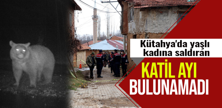 Sekiören köyünde iki ayı fotokapanla görüntülendi