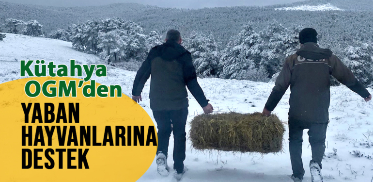 Soğukla mücadelede yaban hayvanlarına destek
