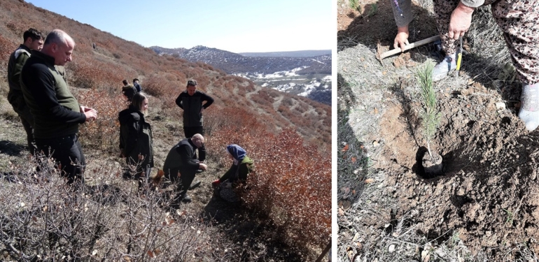 70 bin fidan toprakla buluşuyor