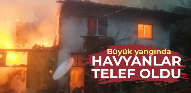 Kütahya’da çıkan yangında iki ev ve bir ahır kullanılamaz hale geldi