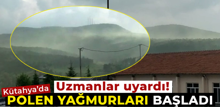 Polen Yağmurları Başladı, Uzmanlar alerjisi olanları uyardı…