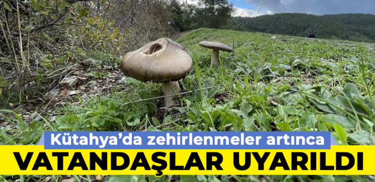 Kütahya’da yağışlar bitince, zehirlenmeler arttı!
