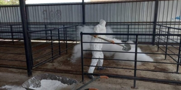 Kütahya’da canlı hayvan pazaryeri açılıyor