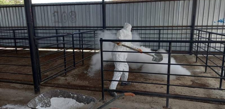 Kütahya’da canlı hayvan pazaryeri açılıyor