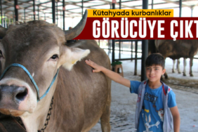 Kütahya’da kurbanlıklar görücüye çıktı