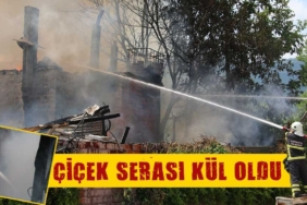 Kütahya'da çiçek serası yangında kül oldu