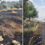 Aslanapa’da tarla yangını