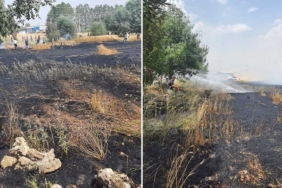 Aslanapa’da tarla yangını