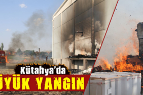 Kütahya'da anız yangını fabrikaya sıçradı