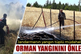 kütahya jandarma orman yangını