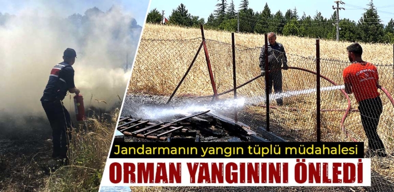 Kütahya’da çıkan ot yangını jandarmanın müdahalesi söndürüldü