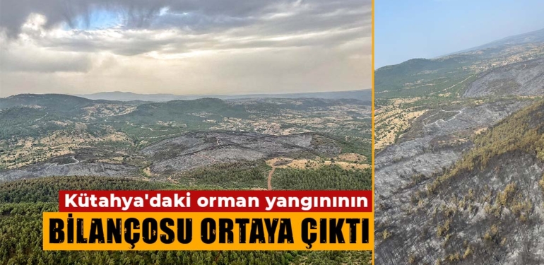Kütahya’daki orman yangınında yanan alan miktarı belli oldu