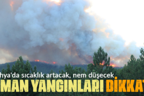 Kütahya'da orman yangınlarına dikkat