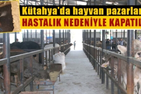 Kütahya'da şap hastalığı nedeniyle hayvan pazarları kapatıldı