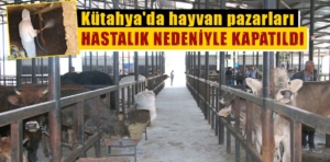 Kütahya'da şap hastalığı nedeniyle hayvan pazarları kapatıldı