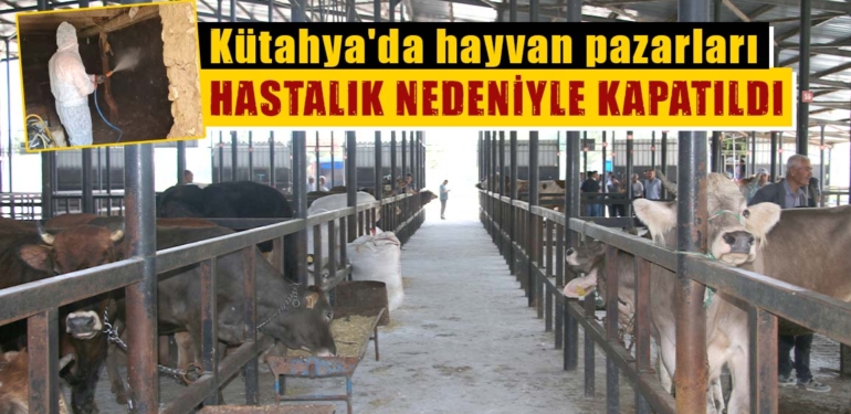 Kütahya’da şap hastalığı nedeniyle hayvan pazarları kapatıldı