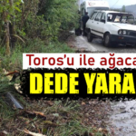 Kütahya'da Toros'u ile virajı alamayan yaşlı adam ağaca çarptı