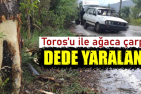 Kütahya'da Toros'u ile virajı alamayan yaşlı adam ağaca çarptı