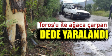 Kütahya'da Toros'u ile virajı alamayan yaşlı adam ağaca çarptı