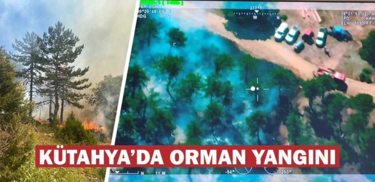 Kütahya’da orman yangınına anında müdahale edildi 