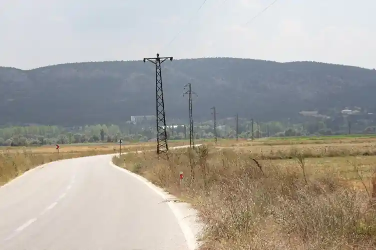 Dramatik leylek göçü: Kütahya'da elektrik akımına kapıldılar