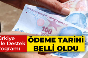 Türkiye Aile Destek Programı ödeme tarihi belli oldu