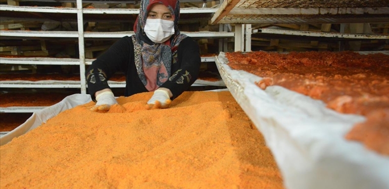 Gediz Tarhanası tüm Türkiye’ye satışa sunulacak