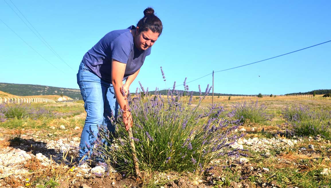 Kütahyalı kadın girişimci kıraç arazide hayallerini gerçekleştiriyor