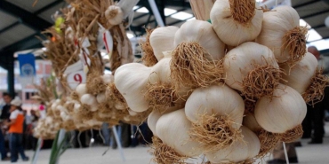 Sarımsakla vücut direncinizi yükseltin