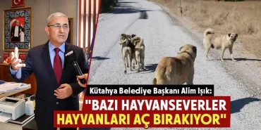 kutahya-sokak-hayvani--1024x504