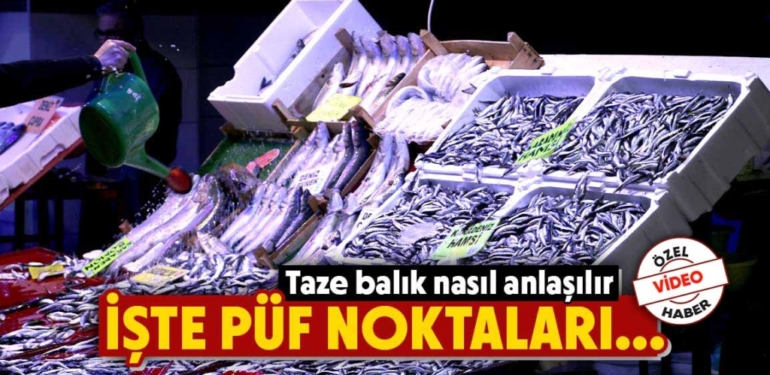 Kütahya’da balıkçı esnafı anlattı: Taze balık nasıl seçilir?