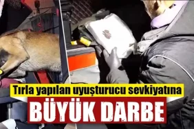 Kütahya’da bir tırda 1 kilo 35 gram kokain ele geçirildi