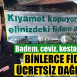 Kütahya'da binlerce fidan dağıtıldı