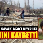 Kütahya’da kesilen ağacın altında kalan kişi öldü