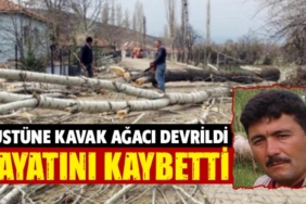 Kütahya’da kesilen ağacın altında kalan kişi öldü