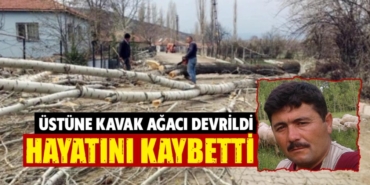 Kütahya’da kesilen ağacın altında kalan kişi öldü