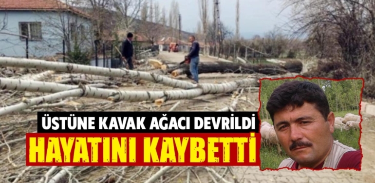 Kavak ağacının devrilmesi sonucu ölüm