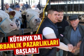 Kütahya'da kurbanlık pazarında fiyatlar belirlenmeye başladı
