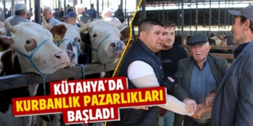 Kütahya'da kurbanlık pazarında fiyatlar belirlenmeye başladı
