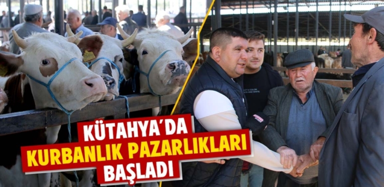 Kütahya’da kurbanlık pazarında fiyatlar belirlenmeye başladı