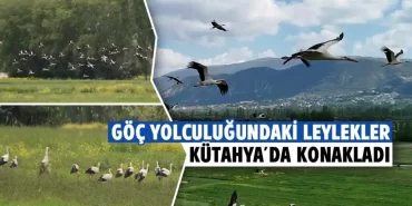 Göç eden leylekler kütahya'da dronla görüntülendi