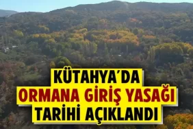 Kütahya’da ormana giriş yasağı tarihleri açıklandı 
