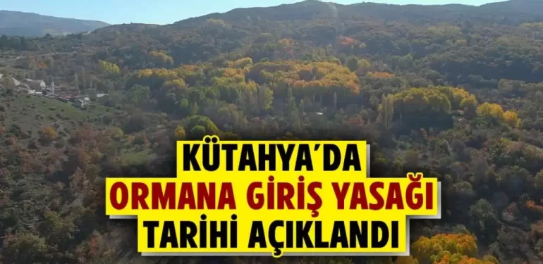 Kütahya’da ormana giriş yasağı tarihleri açıklandı 