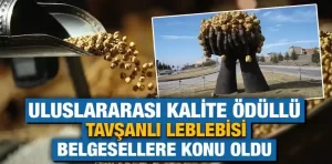 Kütahya'da Tavşanlı Leblebisi Belgeseli Yayımlandı