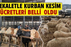 Vekaletle kurban kesim fiyatları belirlendi