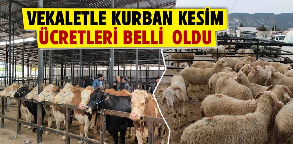 Vekaletle kurban kesim fiyatları belirlendi