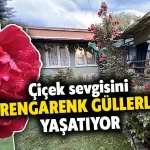Çiçek sevgisini 18 yıldır yetiştirdiği rengarenk güllerle yaşatıyor