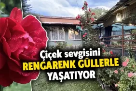Çiçek sevgisini 18 yıldır yetiştirdiği rengarenk güllerle yaşatıyor